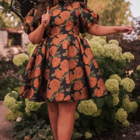 3X Sylvie Dress Jessakae NWT - Picture 4 of 16